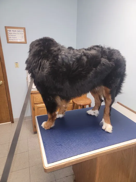 Sunshine Animal Hospital 12