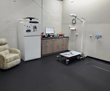 Glenstone Veterinary Clinic