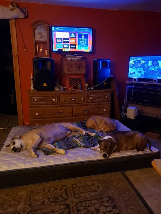 Animal Hospital 12
