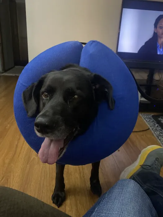 Country Club Veterinary Hospital 12