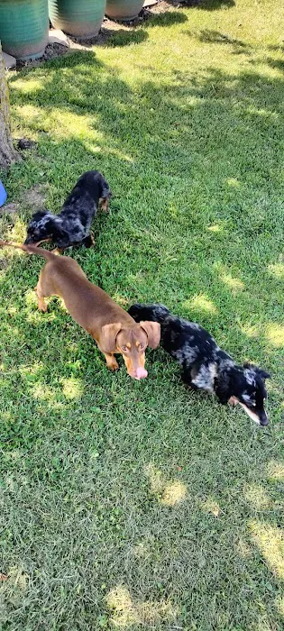 Country Club Veterinary Hospital 12