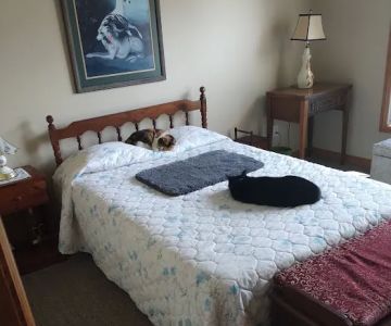 Country Club Veterinary Hospital
