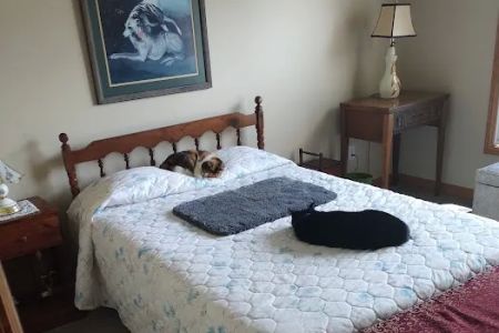 Country Club Veterinary Hospital