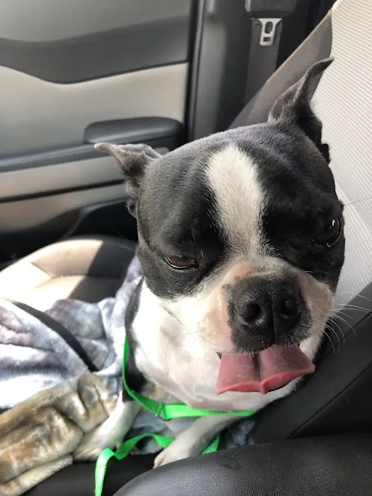 Deerfield Veterinary Hospital 12