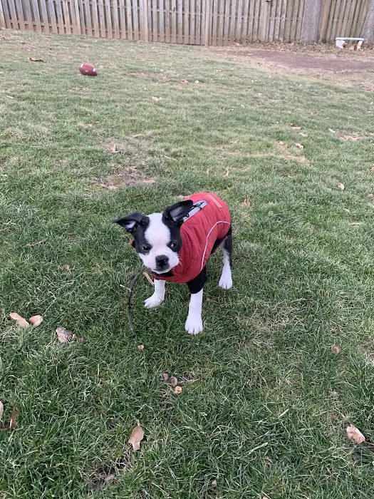 Deerfield Veterinary Hospital 12