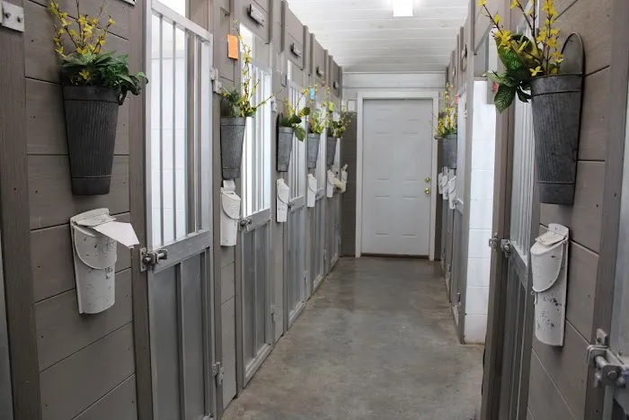 Animal Clinic of Ava 2