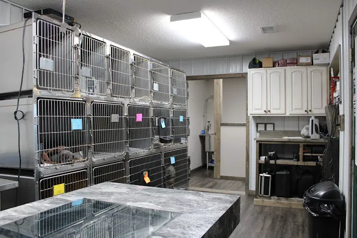 Animal Clinic of Ava 5