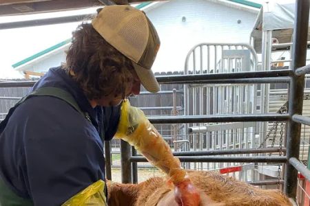 Animal Clinic of Ava