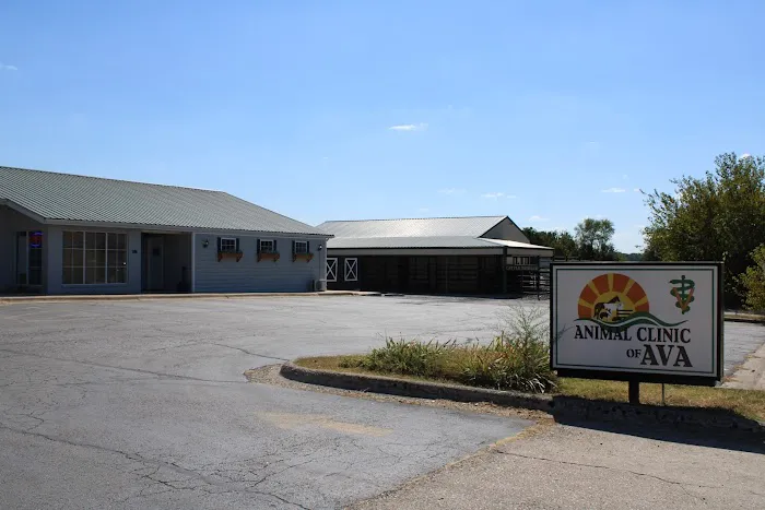 Animal Clinic of Ava 9