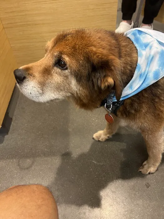 All Creatures Pet Hospital 12