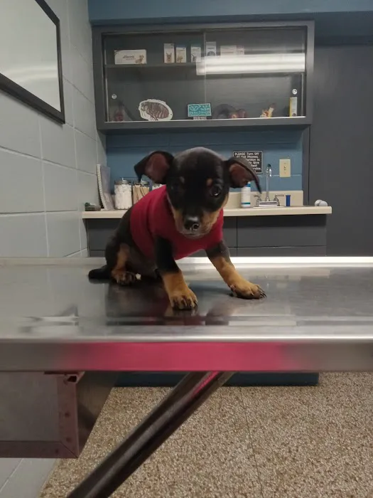 North Side Animal Clinic 12