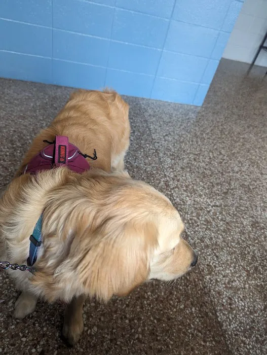 North Side Animal Clinic 12