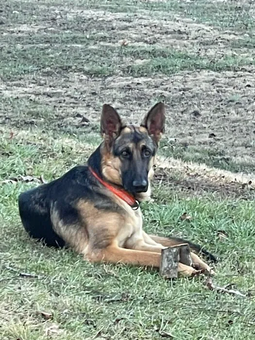 North Side Animal Clinic 12