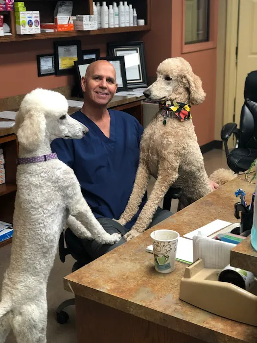 Divine Veterinary Clinic 1
