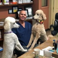Divine Veterinary Clinic ico
