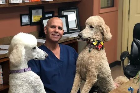 Divine Veterinary Clinic