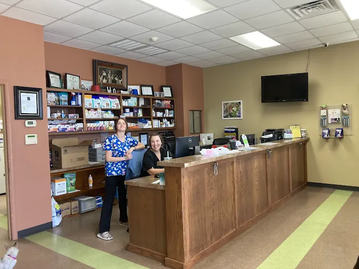 Divine Veterinary Clinic 9