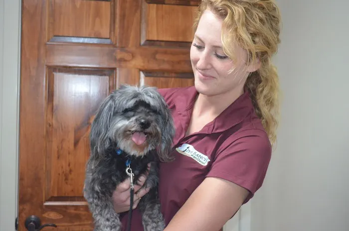 Millwood Animal Hospital 5