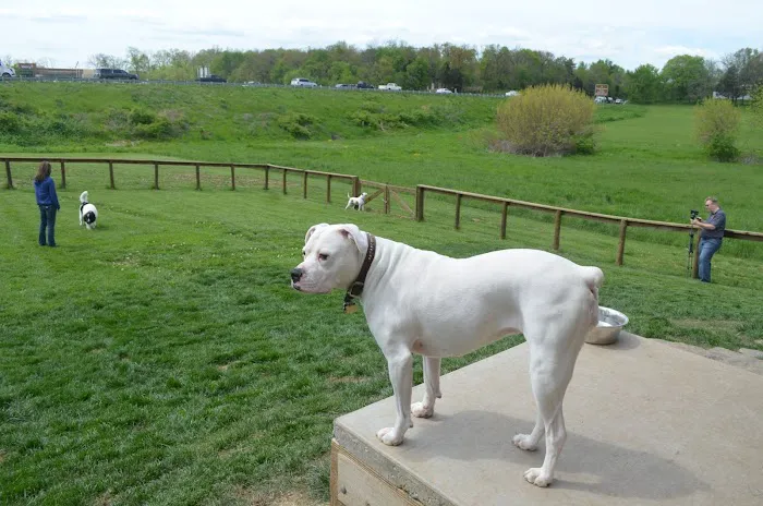 Millwood Animal Hospital 8