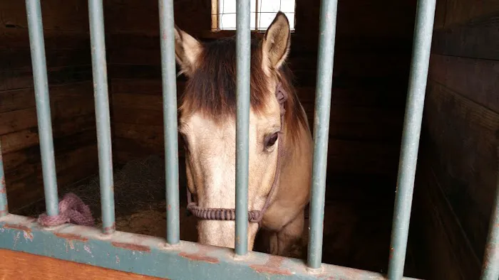 Millwood Animal Hospital 4