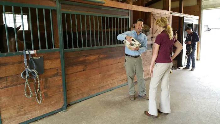 Millwood Animal Hospital 1