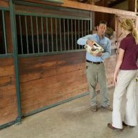 Millwood Animal Hospital ico
