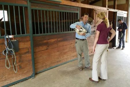 Millwood Animal Hospital