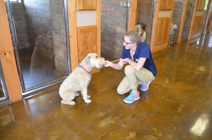 Millwood Animal Hospital 2