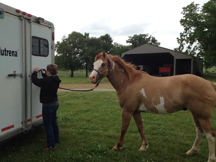Equine Clinic 3