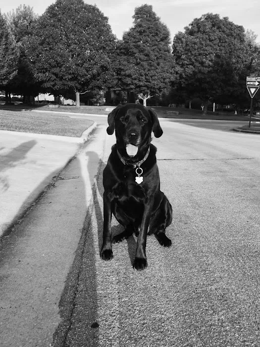 Galloway Village Veterinary 4