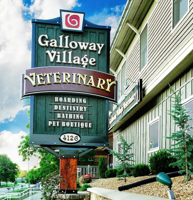 Galloway Village Veterinary 9