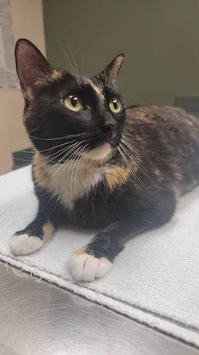 Ozark Veterinary Clinic 3