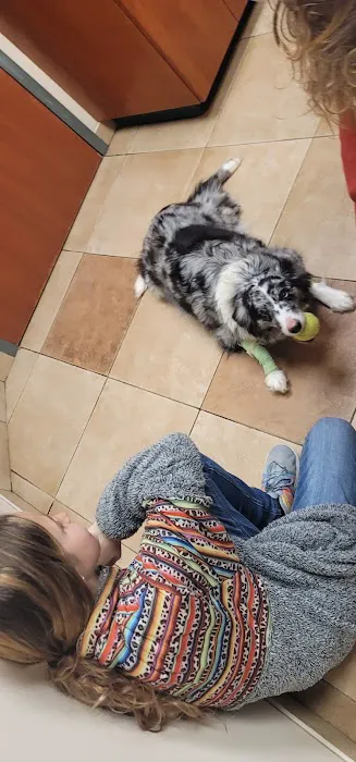 Ozark Veterinary Clinic 2