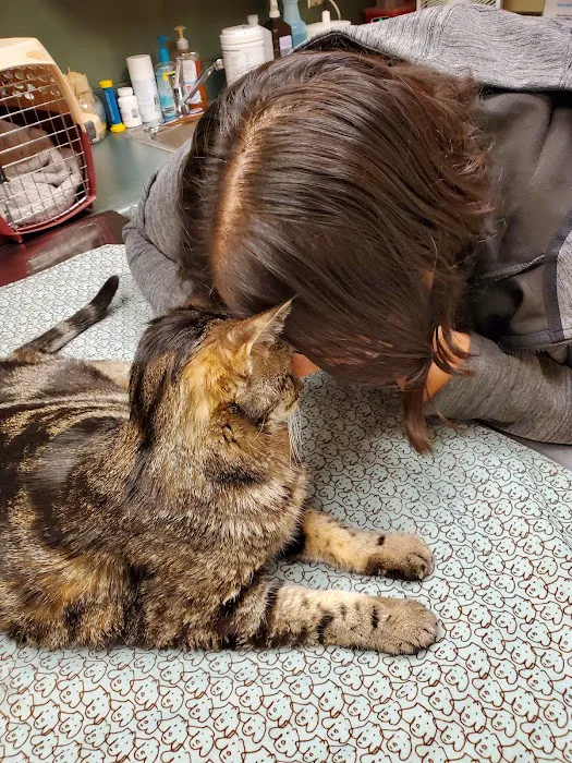 Ozark Veterinary Clinic 1