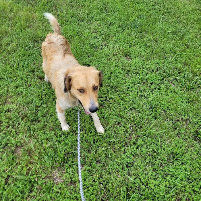 Ozark Veterinary Clinic 10