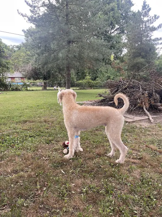 Animal Clinic of the Ozarks 8