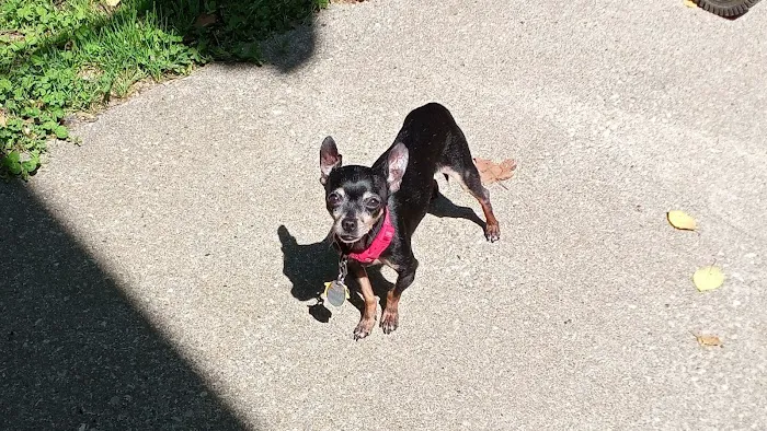 Banfield Pet Hospital 12