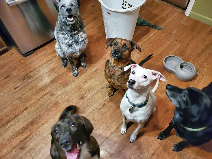Banfield Pet Hospital 12