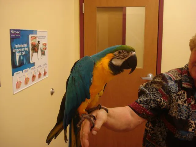 Animal Care Center 7