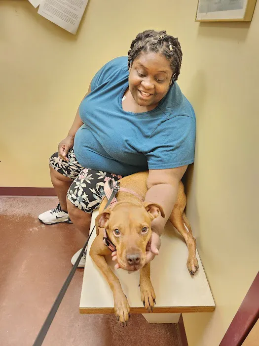 Animal Care Center 4