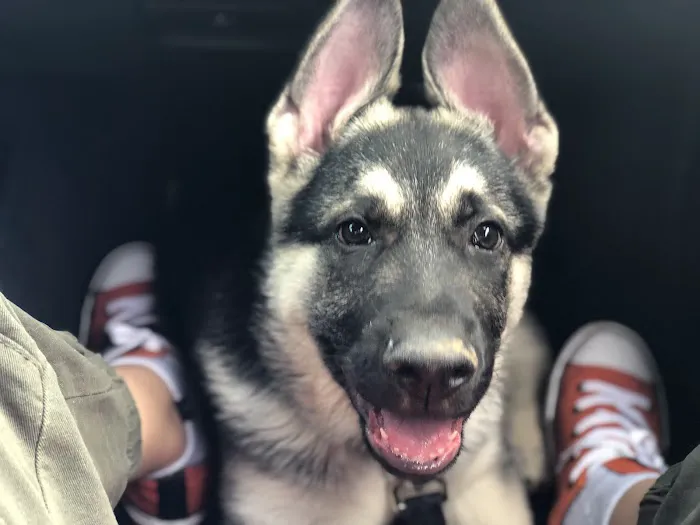 Route 66 Pet Clinic 10