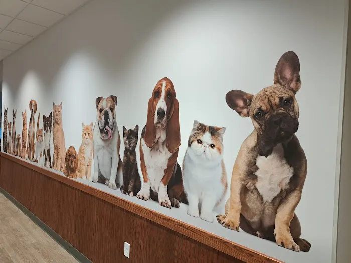 Grant Pet Hospital 1