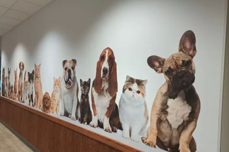 Grant Pet Hospital