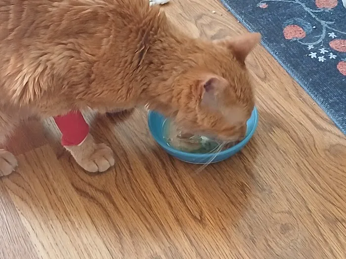 Grant Pet Hospital 2