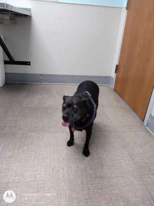 Sesser Animal Hospital 9