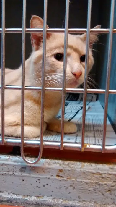 Flora Veterinary Clinic 12