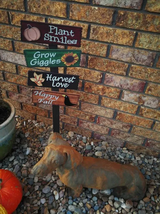 Flora Veterinary Clinic 12
