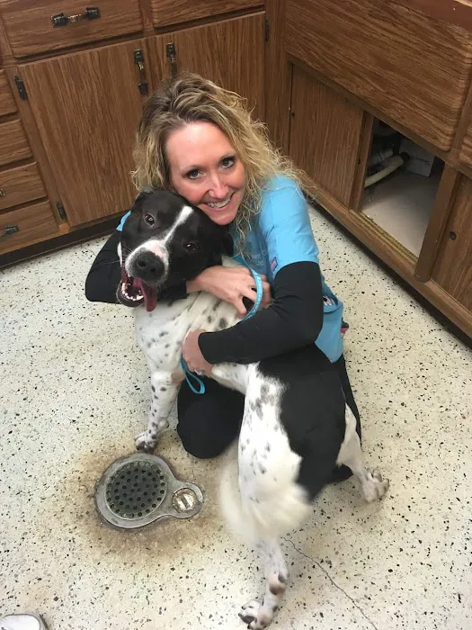 Effingham Veterinary Clinic 12