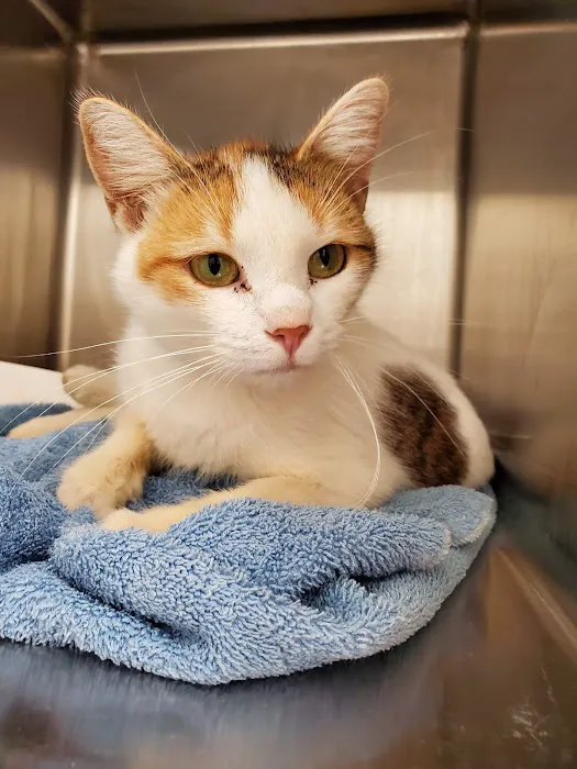 Advanced Veterinary Care, LLC 12