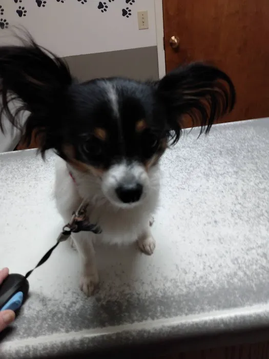 East-side Veterinary Clinic 12